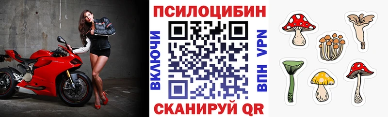 Галлюциногенные грибы Psilocybine cubensis  Купить  Карпинск 
